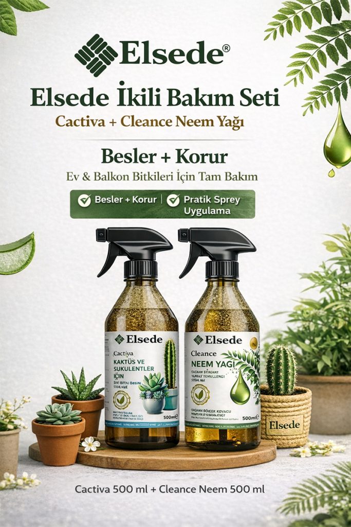 İkili Bakım Seti Elsede Cactiva + Elsede Cleance
